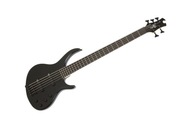 Epiphone Toby Deluxe V EB 5 strunová basgitara