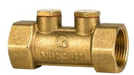 Diamond ANTI-CONTAMINATION CHECK VALVE ART.7_25 - 1