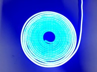 SADA NEON LED FLEX BLUE 5m 12V + PSU