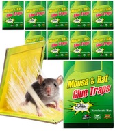 10x PASCA NA MYŠI LEP RATS PASCA NA MYŠI