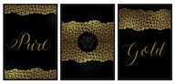 OBRAZOVÉ PLAGÁTY V RÁME 33x43cm Triptych Gold P575