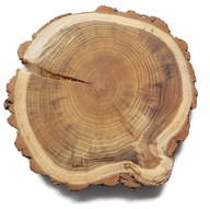 Olejovaná akácia 20-23 cm Plátok dreva, akáciové kotúče