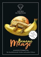 Gecko Nutrition Banán Mango 50g