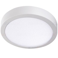 LED OSVETLENIE CARSA V2LED 24W-NW-W