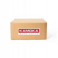 Kamoka 7710153 Teleso termostatu