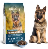 DIVINUS PERFORMANCE SUCHÉ KRMIVO PRE OVČIARSKE 20KG