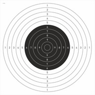 Strieľacie terče pre pištoľ PSP 50x50 50 ks