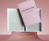 TUMBLES EYELSHES FANS READY 1200ks 5D 0,07C MIX HOLLYWOD LASHES BOX