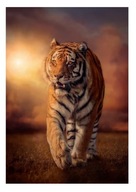 PUZZLE 1000 EL TIGER TIGER ANIMAL WEST COMPACT