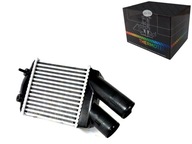 INTERCOOLER THERMOTEC 7700838130 RT4222 7093103 91