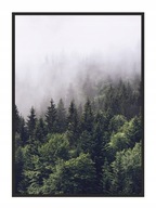 OBRAZOVÝ PLAGÁT V RÁME 53x73 cm Forest P612 Vertikálny