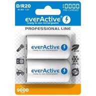 2x BATÉRIE D R20 EverActive 10000mAh