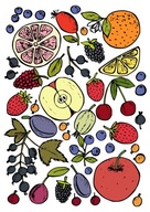 Sada nažehľovacích fólií na oblečenie Fruit Thermo Sticker Set