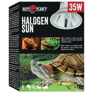 REPTI PLANET Halogénová slnečná žiarovka 35W