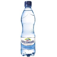 NAŁĘCZOWIANKA voda 0,5L (12 ks) neperlivá