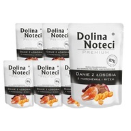 Dolina Noteci Premium Mokré krmivo pre psov Miska z lososa 10 x 300 g