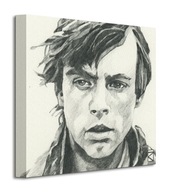 Star Wars Luke Skywalker Obrazové plátno 30x30cm