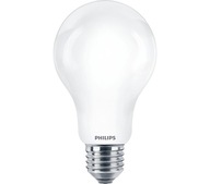 E27 LED žiarovka 17,5W (150W) studená farba PHILIPS