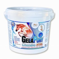 GelaPony Chondro HYAL 1,8 kg na pohybový aparát