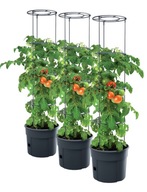 3x kvetináč na pestovanie paradajok IPOM300 objem 12L