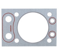 Lakované tesnenie hlavy C360 46505120 Morpak