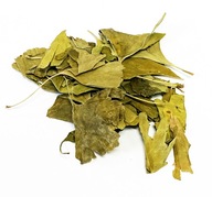 GINKGO BILOBA LIST 500 G 100%