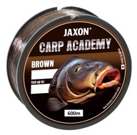 Jaxon CARP ACADEMY LINE 0,25 - 13 kg - 600 m