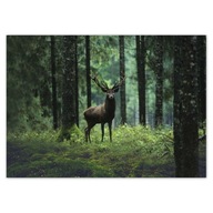 Plagáty 70x50 Deer Deer Forest Landscape