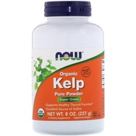 NOW FOODS Bio Kelp Pure Powder 227g JOD