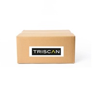 LANKO RUCNEJ BRZDY 8140 161198 TRISCAN FORD