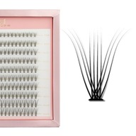 Many Lashes Master Box 10D C Trsy mihalníc 200 ks