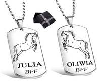 HORSE DOG TAG NÁHRDELNÍK 2 BFF MENO GRAVÍR