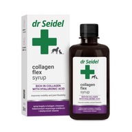 DR SEIDEL Collagen flex sirup - prípravok podporujúci pohyblivosť a elasticitu