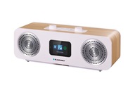 DAB/FM/BT/USB INTERNETOVÉ RÁDIO BLAUPUNKT IR50DAB