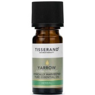 100% Yarrow Oil (Yarrow) – rebríček zbiera