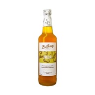 Zázvorový sirup 500 ml Batková