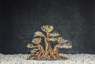 Aquasilva Bandipur aqua bonsai strom naplaveného dreva