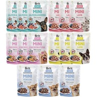 Brit Care Mini MIX 5 PRÍCHUTÍ 15x85g