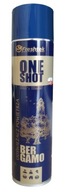 ONE SHOT BERGAMO Osviežovač vzduchu 600 ml