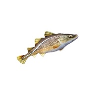 Vankúš maskot Gaby ATLANTIC COD MINI 38cm