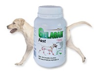 Gelacan Fast 500 g