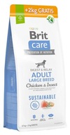 BRIT CARE ADULT LARGE CHICKEN&INSECT 14 kg