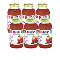 HiPP BIO Červené ovocie Bio šťava 100% po 4m 6x200ml