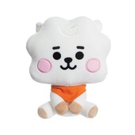 BT21 BTS RJ - maskot medvedíka 20 cm