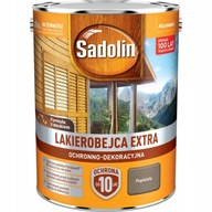 SADOLIN EXTRA 5L POPEL LAK ŠKVRNA