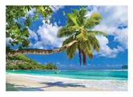 Fototapeta BEACH SEA PALM LANDSCAPE 3D 368x254