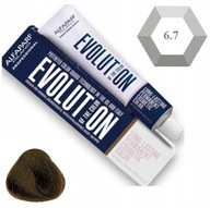 Alfaparf Evolution Of The Color Paint 60ml č. 6.7