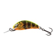 Wobler Salmo Hornet FL gold fluo ostriež QHT012