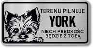 Pozor znamenie York Dog