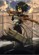 Plagát Anime Attack on Titan aot_008 A1+ (vlastné)